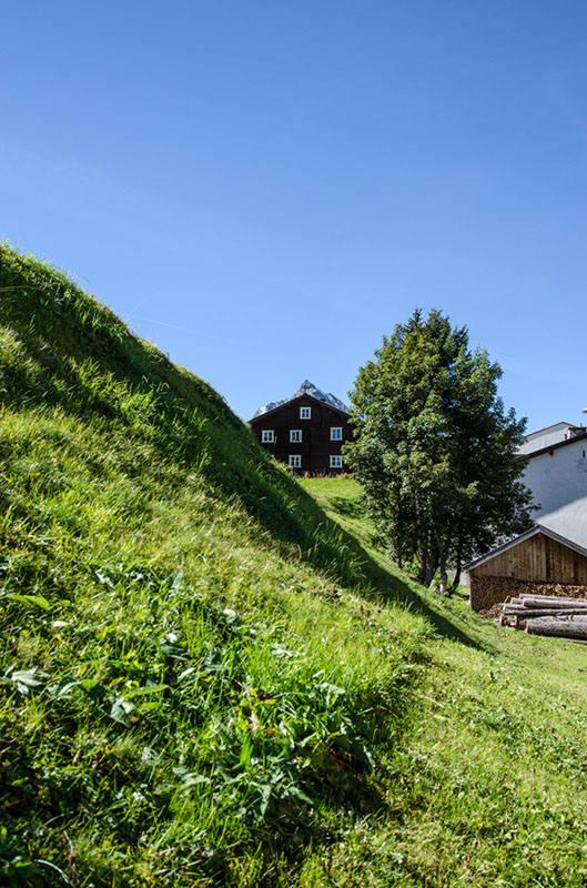 appart_gidis_sommer_5705